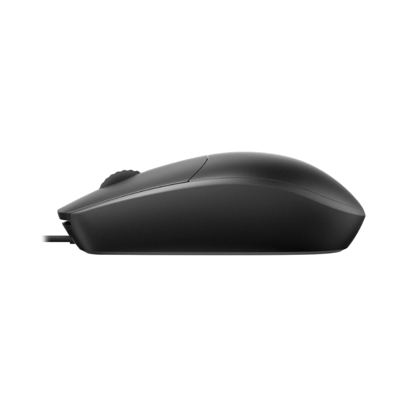 Mouse Rapoo N100C Black Typ c