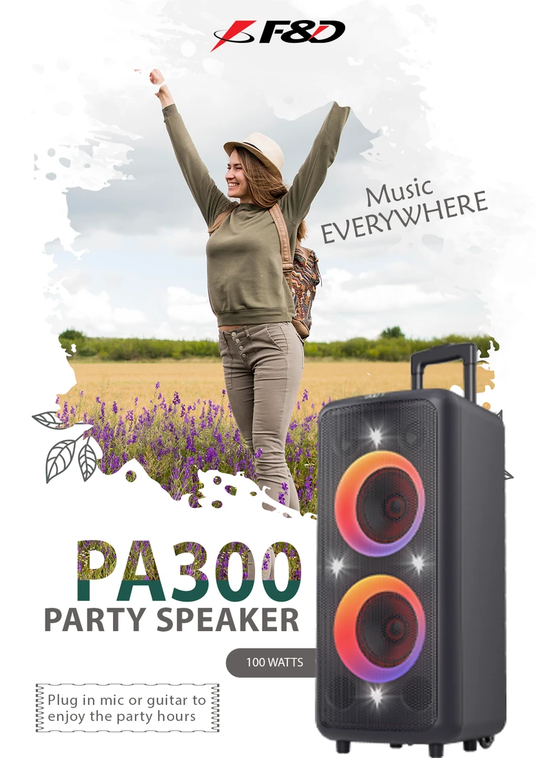 F&D PA300 Bluetooth Party Speaker