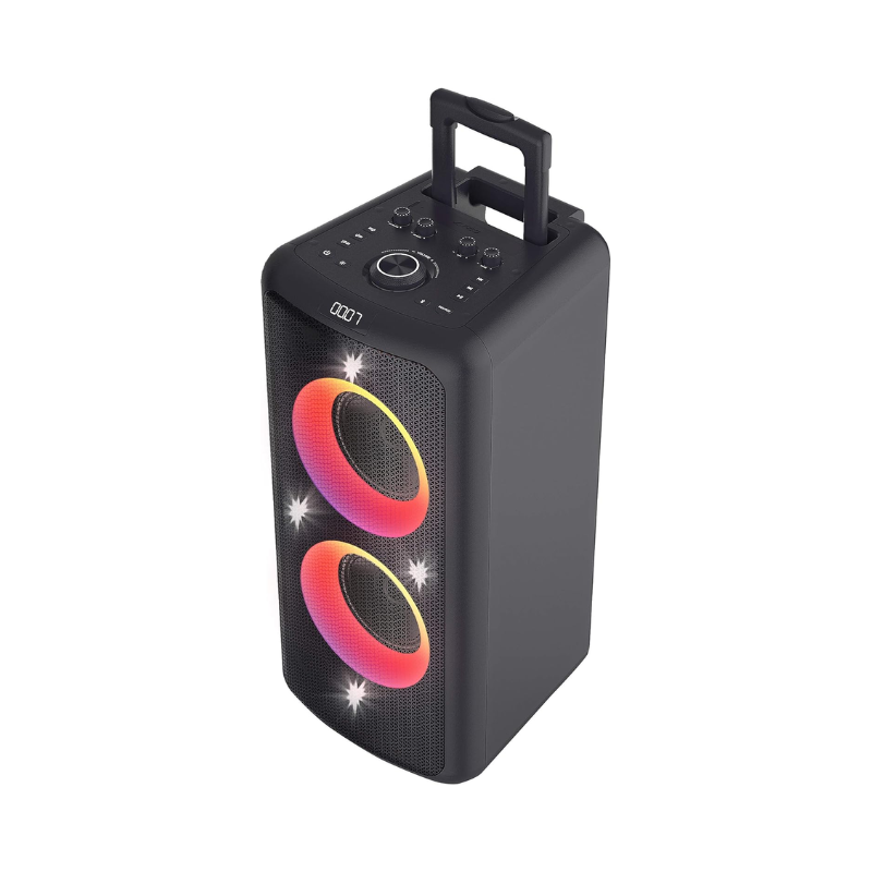 F&D PA300 Bluetooth Party Speaker