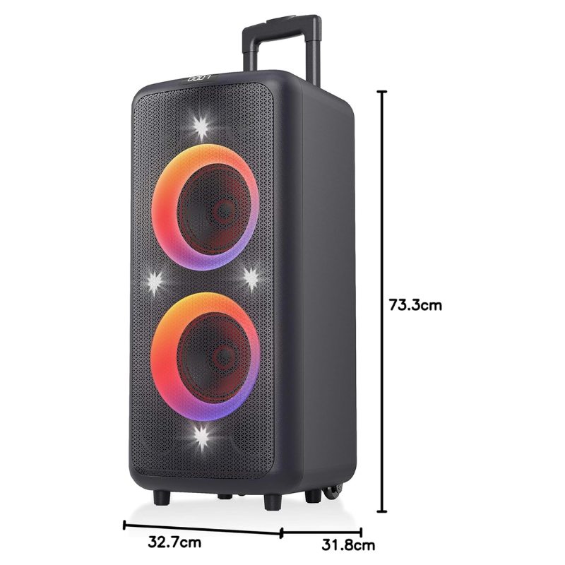 F&D PA300 Bluetooth Party Speaker