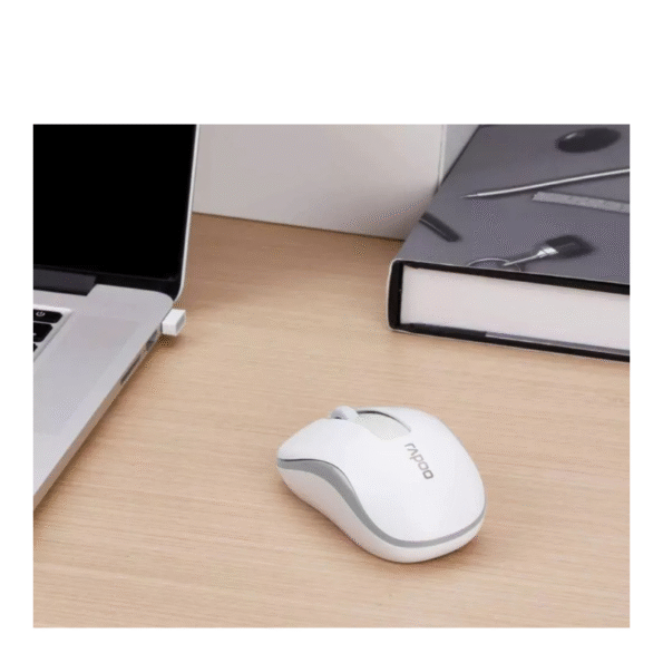 Mouse Rapoo M10 Plus  Black Wireless