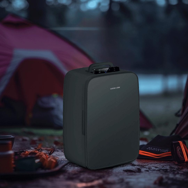 Green Lion Mini Refrigerator 22L 65W - Black