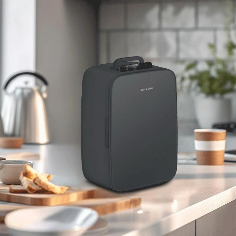 Green Lion Mini Refrigerator 22L 65W - Black